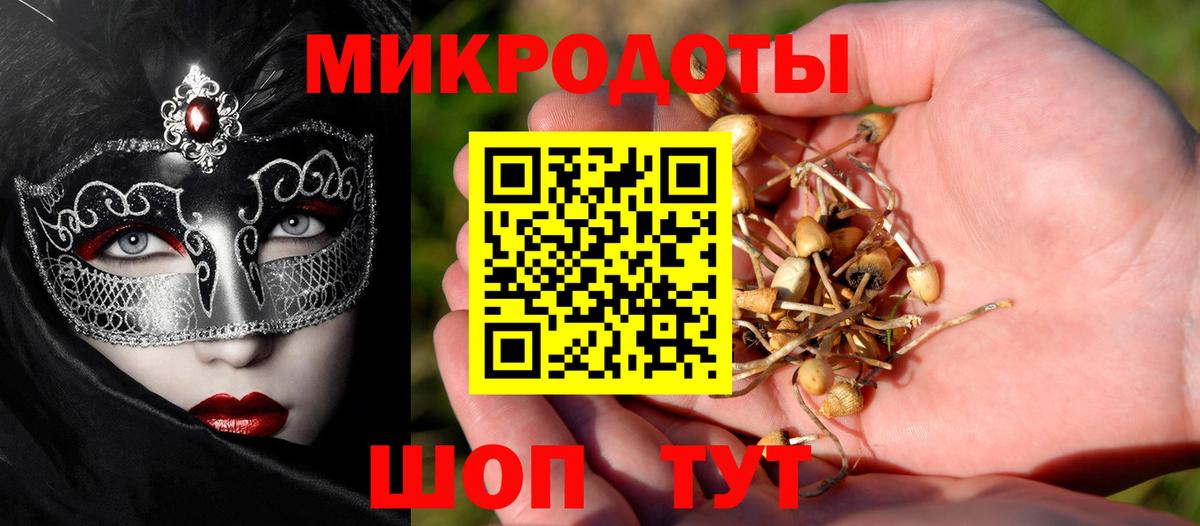 Коркино  Галлюциногенные грибы Psilocybine cubensis  Вход с VPN  продажа наркотиков  Галлюциногенные грибы Psilocybine cubensis 